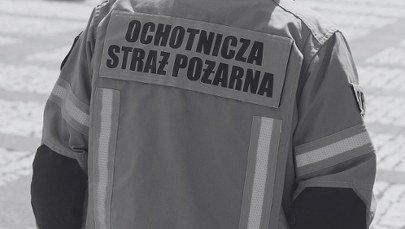Tragedia na służbie. Nie żyje strażak użądlony przez owady