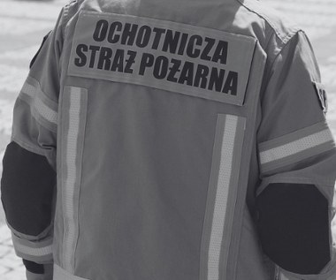 Tragedia na służbie. Nie żyje strażak użądlony przez owady