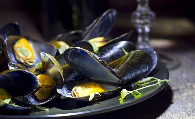 Tragedia na wakacjach w Turcji. Nie żyje dwójka dzieci i ich matka