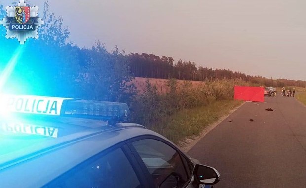 Tragedia niedaleko Polkowic. Zginął rowerzysta 