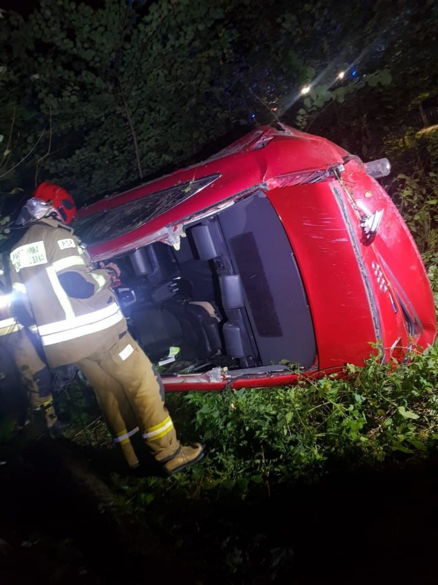 Tragedia pod Ciechanowem. Zderzenie z łosiem /Policja