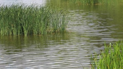 Tragedia pod Gdańskiem. Matka i córka utonęły w jeziorze Osowskim