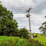 Tragedia podczas przycinania drzew. Pracownik dotknął linii energetycznych