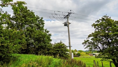 Tragedia podczas przycinania drzew. Pracownik dotknął linii energetycznych