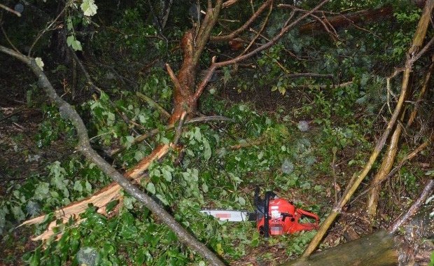 Tragedia podczas sprzątania po burzy. Nie żyje 56-latek