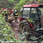 Tragedia podczas wycinki drzew na Lubelszczyźnie. Nie żyje 55-latek