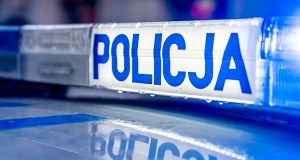 Tragedia podczas zbioru szyszek w Józefowie. Nie żyje 59-latek, drugi mężczyzna walczy o życie