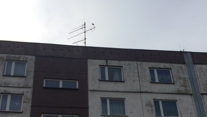 Tragedia rodzinna w Gliwicach: Wnuk umierał na rękach babci