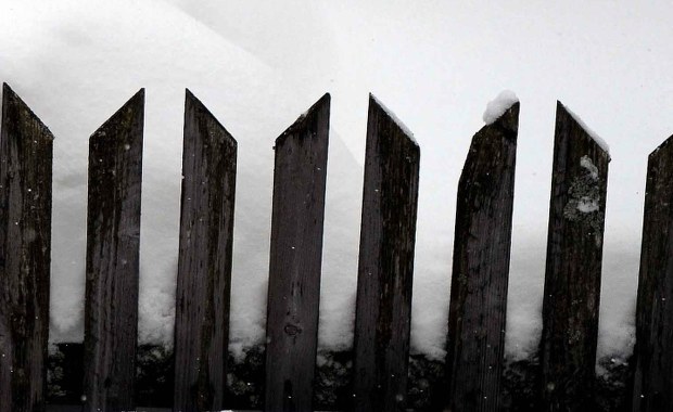 Tragedia w Dolnośląskiem. Zabójstwo i samobójstwo ze zdradą w tle