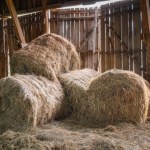 Tragedia w gospodarstwie rolnym. Mężczyzna przygnieciony przez balot siana 