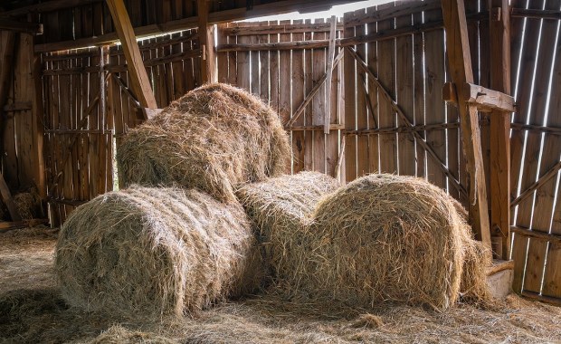 Tragedia w gospodarstwie rolnym. Mężczyzna przygnieciony przez balot siana 