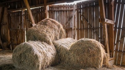 Tragedia w gospodarstwie rolnym. Mężczyzna przygnieciony przez balot siana 