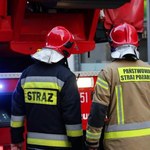 Tragedia w Kierpieniu. Nie żyje mężczyzna przygnieciony przez drzewo