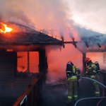 Tragedia w Łódzkiem. W zoo spłonęły zwierzęta