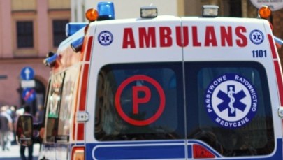 Tragedia w parku. Czterolatka zmarła przygnieciona konarem drzewa