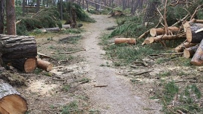Tragedia w Suszku. Jutro będą znane wstępne wyniki sekcji zwłok harcerek