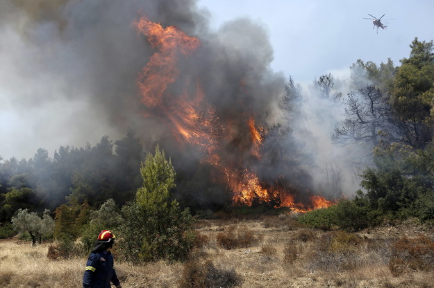 Tragiczne pożary w Grecji sprzed dwóch lat /KOSTAS TSIRONIS /PAP/EPA