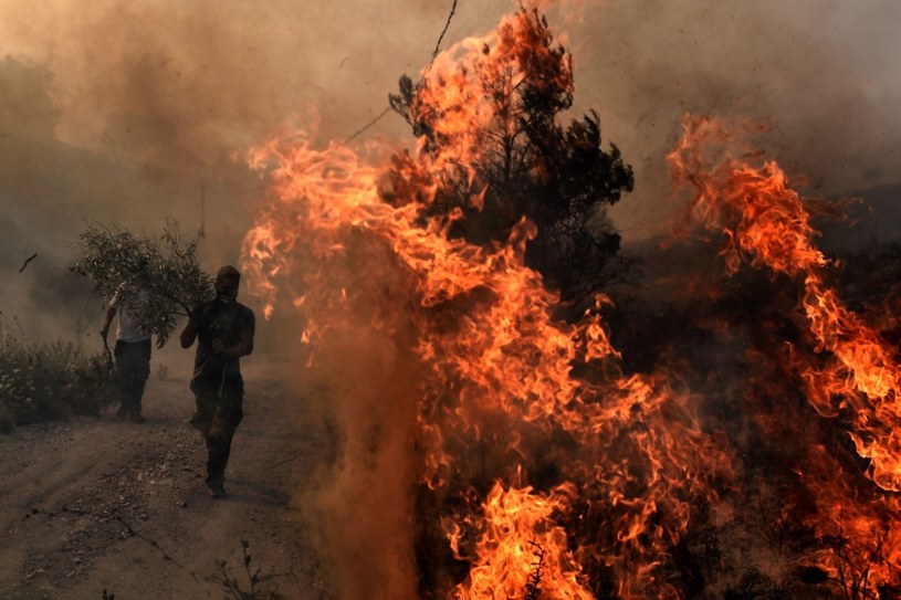 Tragiczne pożary w Grecji /AFP PHOTO / ARIS MESSINIS /East News