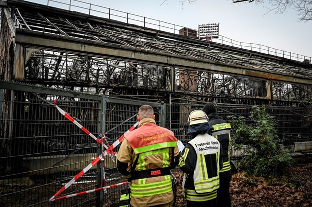 Tragiczne skutki pożaru w małpiarni. Zginęło 30 zwierząt /Sascha Steinbach /PAP/EPA