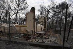Tragiczny bilans pożarów w Grecji. Nie żyje kilkadziesiąt osób