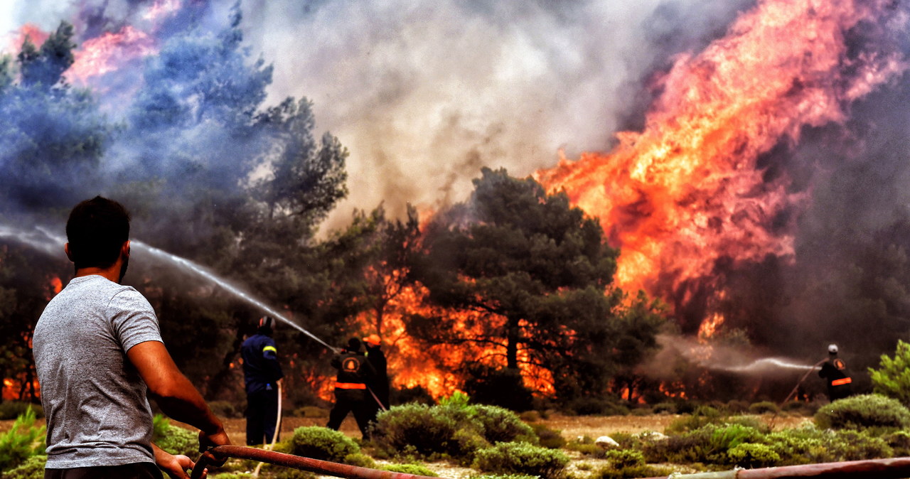 Tragiczny bilans pożarów w Grecji. Nie żyje kilkadziesiąt osób