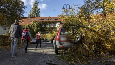 Tragiczny bilans wichur. Nie żyją 4 osoby, kilkanaście rannych