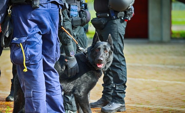 ​Tragiczny finał poszukiwań 16-latki z Mławy. Dziewczyna nie żyje