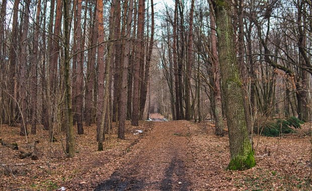 Tragiczny finał poszukiwań 22-latka