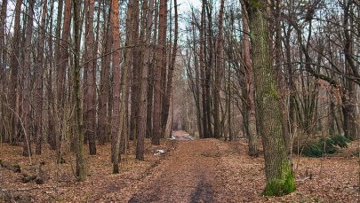 Tragiczny finał poszukiwań 22-latka