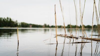 Tragiczny finał poszukiwań 68-latka z Hrubieszowa  