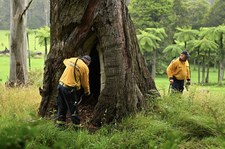 Tragiczny finał poszukiwań w Australii. Ciało 9-latki znalezione w beczce