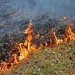 ​Tragiczny finał wypalania traw w powiecie jasielskim
