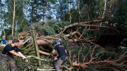 Tragiczny obóz, zniszczone domy, miliony połamanych drzew. Mija rok po katastrofalnych nawałnicach