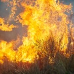 Tragiczny pożar traw w Szaflarach. Nie żyje mężczyzna