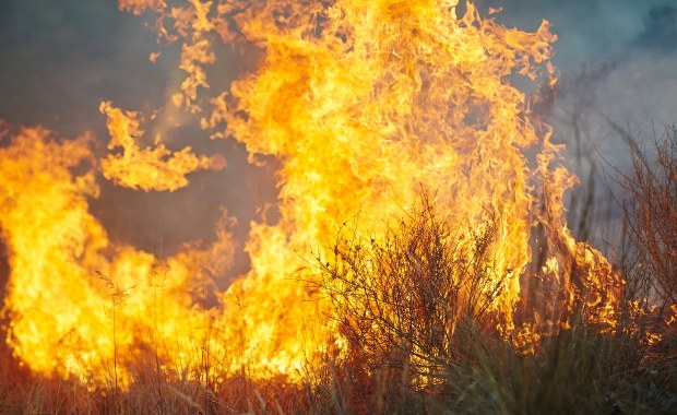 Tragiczny pożar traw w Szaflarach. Nie żyje mężczyzna