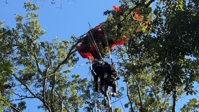 Tragiczny skok w tandemie. Instruktor nie żyje, uczeń zawisł na drzewie