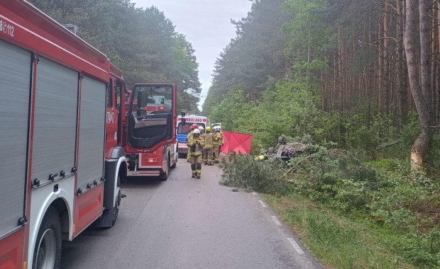 Tragiczny wypadek. Auto zderzyło się z łosiem, dwie osoby nie żyją 