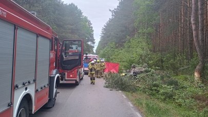 Tragiczny wypadek. Auto zderzyło się z łosiem, dwie osoby nie żyją 