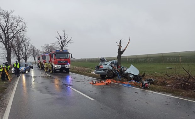 Tragiczny wypadek na drodze. Auto owinięte wokół drzewa