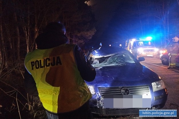 Tragiczny wypadek na drodze koło Lubina /KPP Lubin /