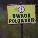 Tragiczny wypadek na polowaniu. "Za wcześnie mówić o szczegółach"