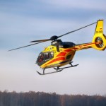 wycinka drzew Tragiczny wypadek pod Wadowicami podczas wycinki drzew. Zginął młody mężczyzna