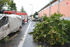 Tragiczny wypadek w Katowicach. Policja szuka świadków