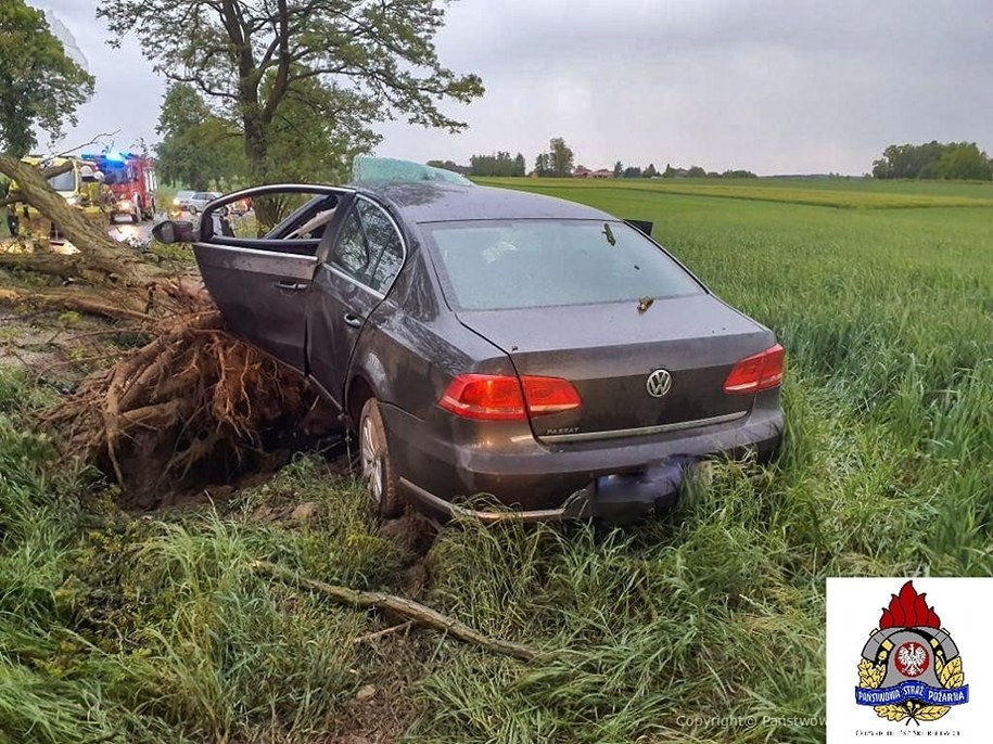Tragiczny wypadek w miejscowości Michowice w województwie łódzkim /Państwowa Straż Pożarna