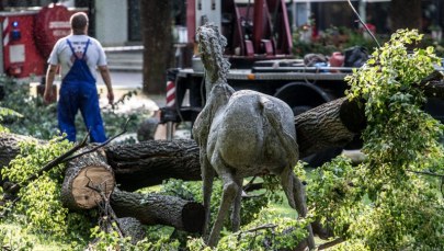 Tragiczny wypadek w Szczawnie Zdroju