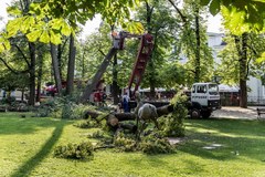 Tragiczny wypadek w Szczawnie Zdroju