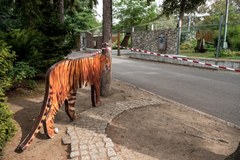 Tragiczny wypadek we wrocławskim zoo