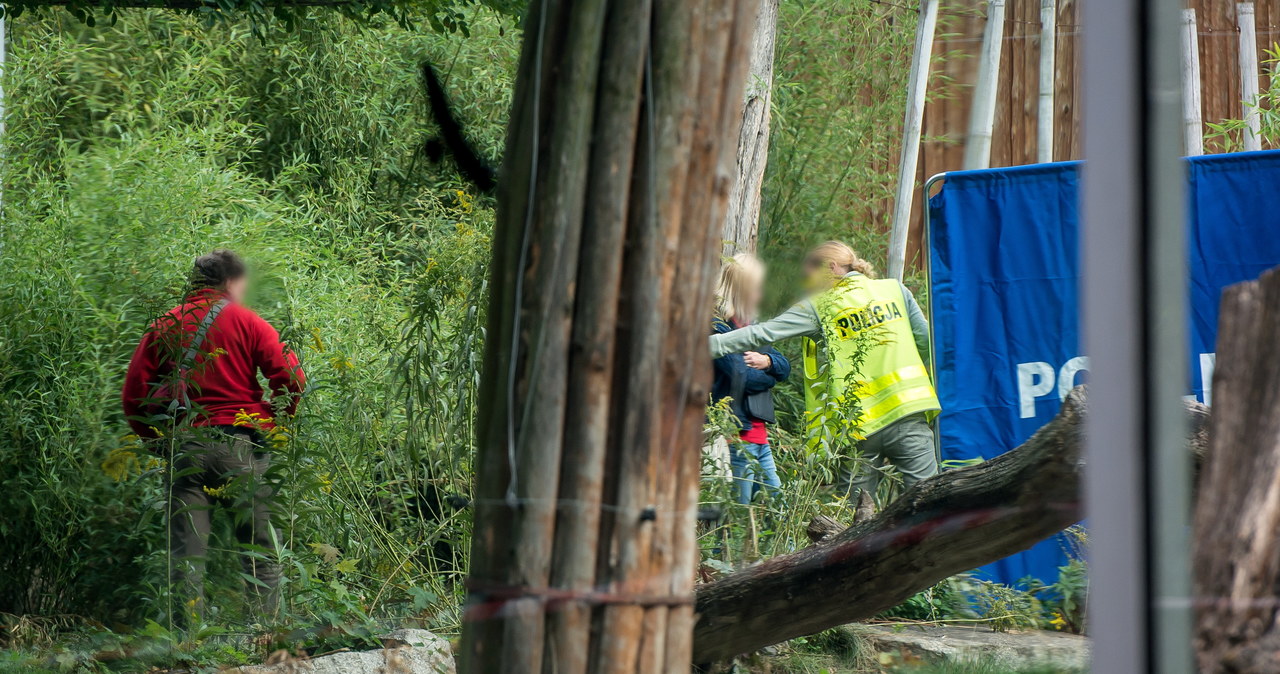 Tragiczny wypadek we wrocławskim zoo