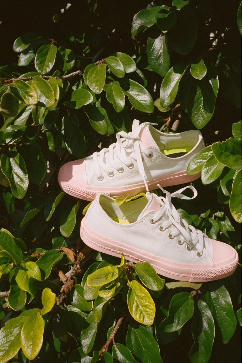 Trampki Converse /materiały prasowe