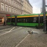 Tramwaj wykoleił się i wjechał w kamienicę w centrum Poznania